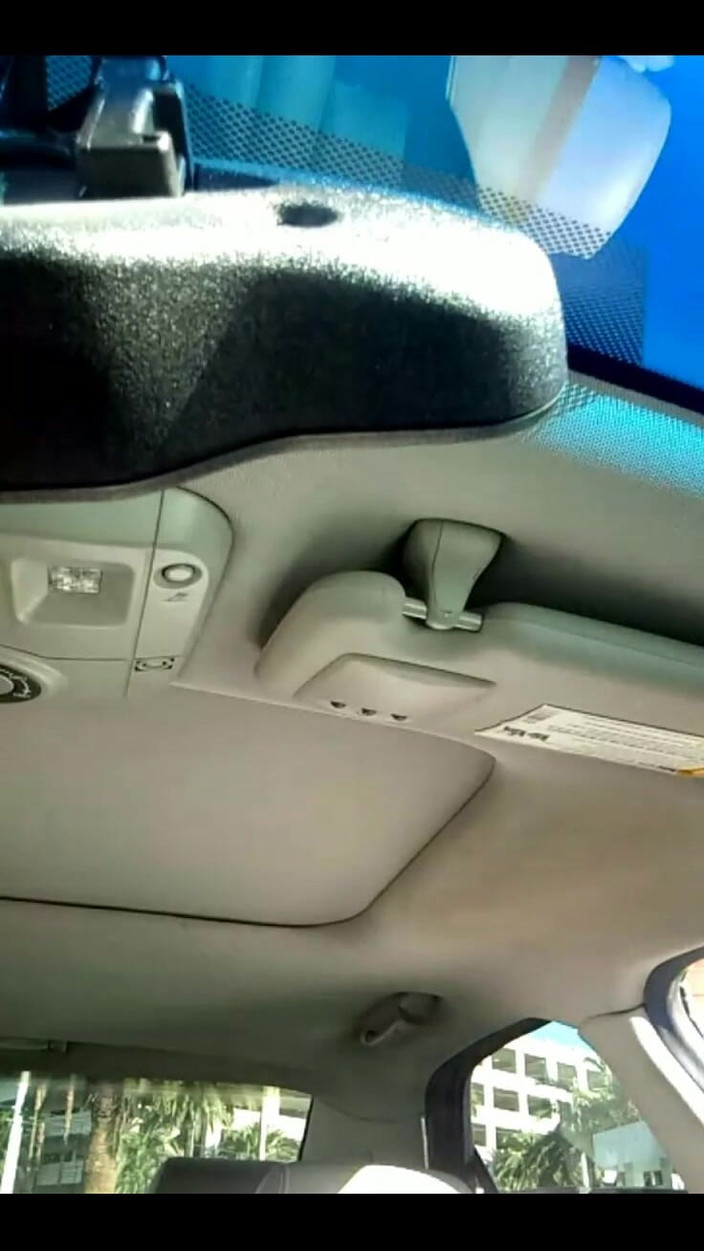 His Queen Suga: 玫瑰震动棒的快速回顾