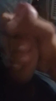 Mirad Mi Pene, Queridos Amigos.