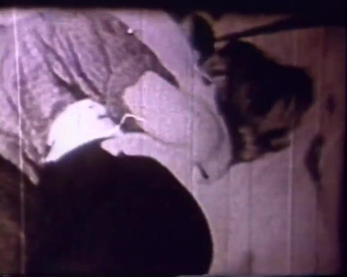 Vintage Usa: Scena di sesso vintage originale - Hulahula messicana!