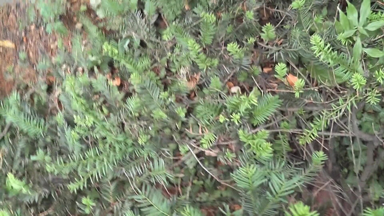 Spermalicious: Recunoscut în aer liber, cur german rapid în parc