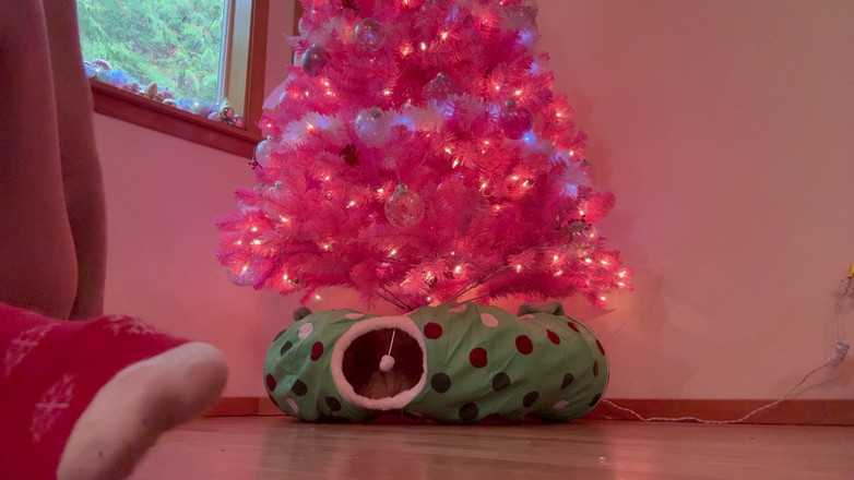 Destination Kat: Dekorasyon