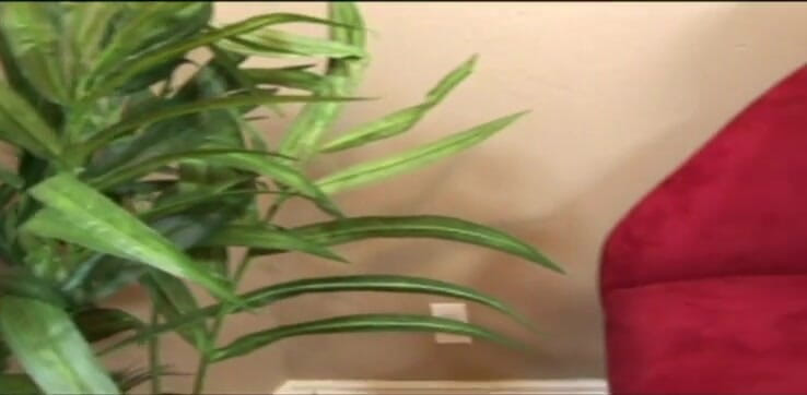 VOP Ebony Babes: Wet big ass ebony screwed by a big black cock
