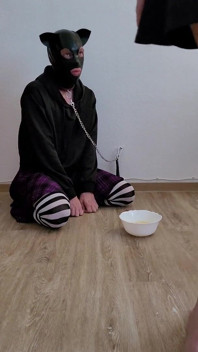 목마른 노예처럼 여주인 오줌을 즐기는 가죽 끈 Sissy