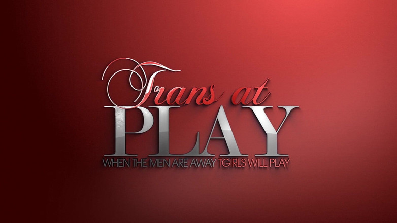 Trans 500: 그것은 모든 에 대한 Stephany