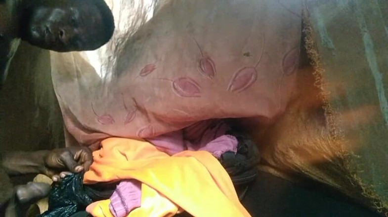 Bangcum8: Pojke knulla gratis fitta och sperma mycket bra