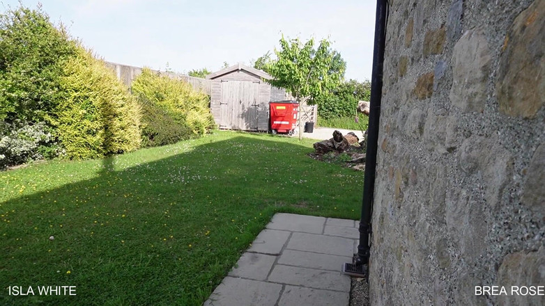 Brea Rose: Policejní ponížená: Zatčení, Frisk a Wedgies