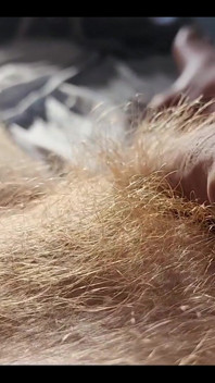 Ginger Fur
