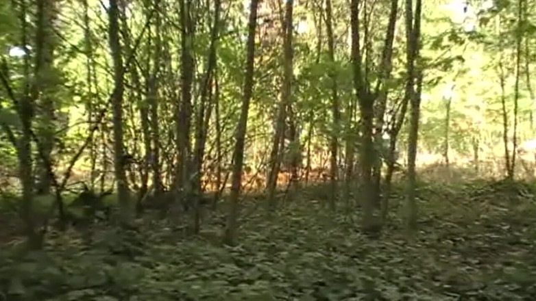Gaybareback: Submissed by Arab in cruising forest