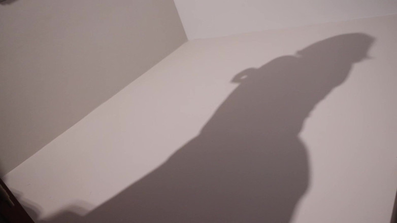 Countess diamond: Verehre meinen schatten - mein vergnügen, dein verleugnen
