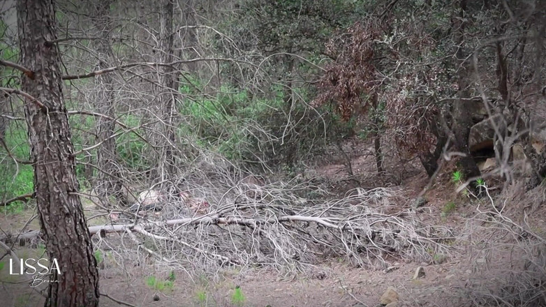 Lissa Brown: 숲에서 나를 따먹는 소년 - 리틀 레드 라이딩 후드