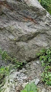 Village Indian Outdoor ryzykowne jebanie z moją gorącą pokojówką 7.5m