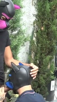 Profitez de cette amatrice porno française incroyable sans capote avec des mecs tellement sexy