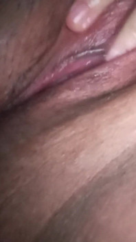 My Pussy
