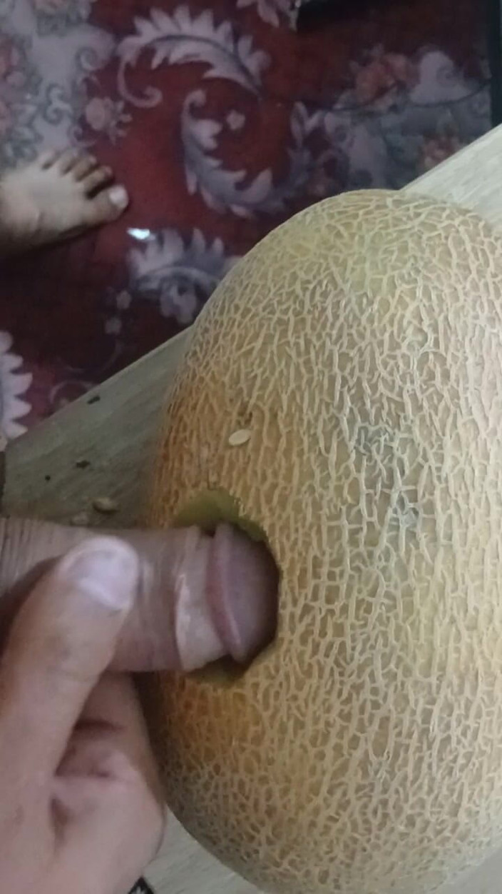 AlexCat: A Melon Named Yulia