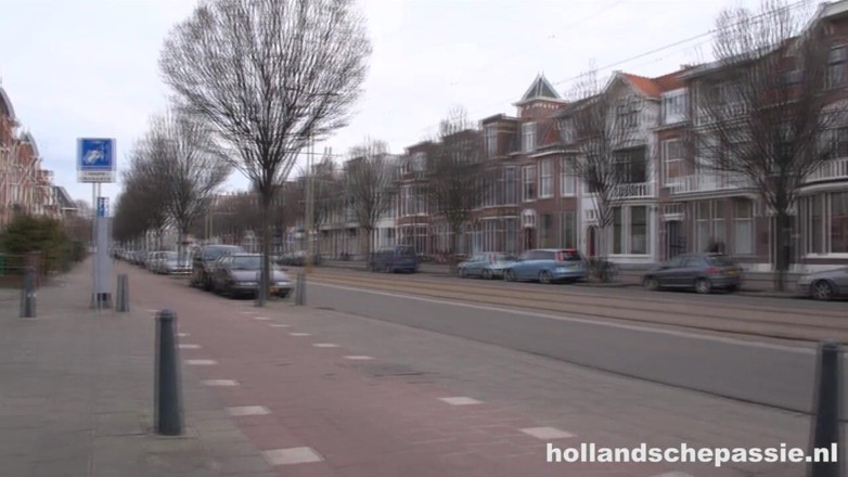 Hollandsche Passie: denis ne apni parphekt chodne laayak mammi paee hai