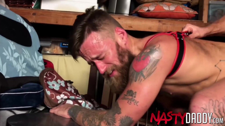 Nasty Daddy: NASTYDADDY 胡子布兰丹帕特里克和霍伊特沃克生性爱