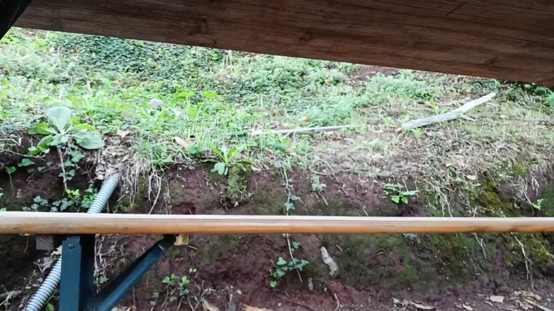 Kinky Guy: Насолоджуйтесь сечею і мастурбацією під час пікніка. Мені це потрібно!