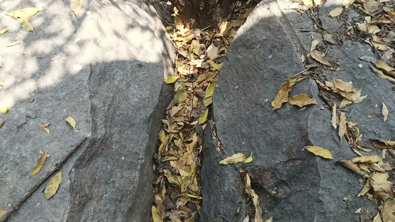 Suthavillagexxx: Ragazzo tamil si masturba nella foresta