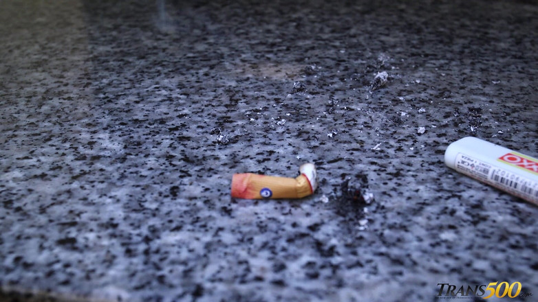 Trans 500: Trans500 Fetiș frenezie