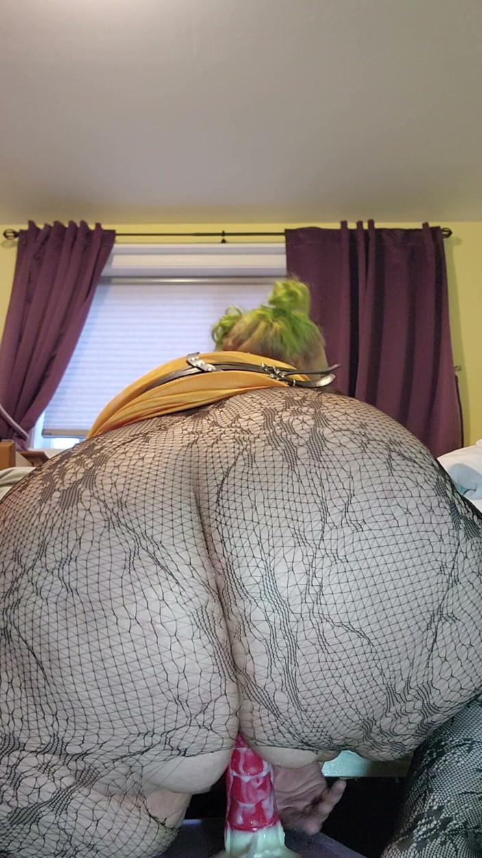KatnipKitten: Kitty katnip cavalca pov