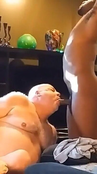 Acordou com bbc! Urso recebe um rosto depois que bbc atira!