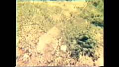 The Unforgettable: Şehvetli Yatak