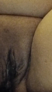 Bbw morbida