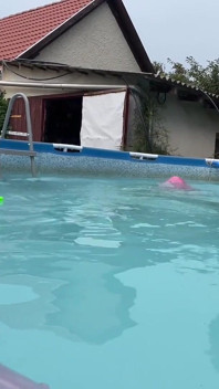 Bermain dan berenang di kolam renang
