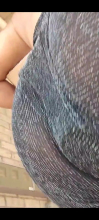 I Don't Think Their Ring Cams Caught My Secret