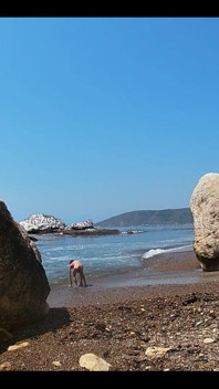 Sexy Time at the Nude Beach at Pirates Cove!