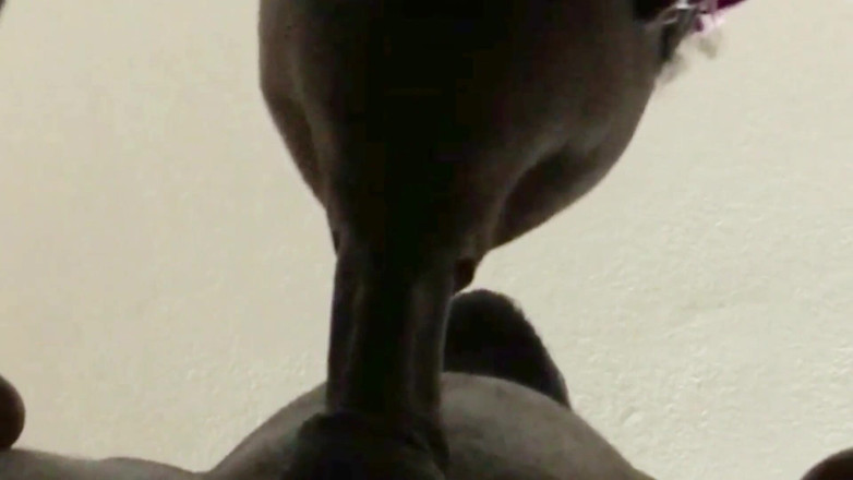 Wildwood21519: Deepthroat in primo piano