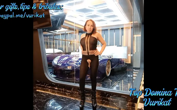 Vurikat: Are You Ready for Me? Lube It up!