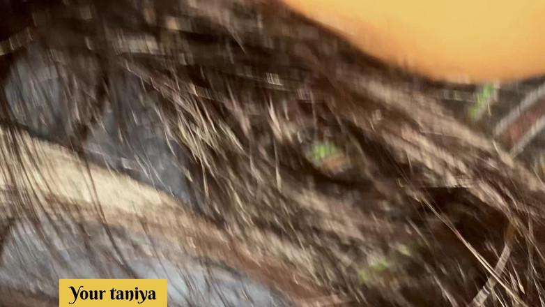 Sexy taniya ki Chut dekho or sexy pose bhi: Fidanzata indiana desi film completo