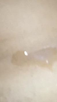 Indian College Girl Cum in Pussy