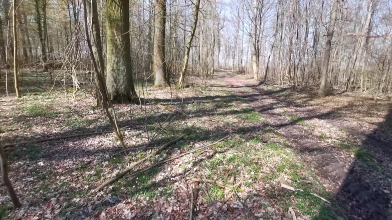 Bouncy Tits Action: Cul et branlette espagnole dans la nature