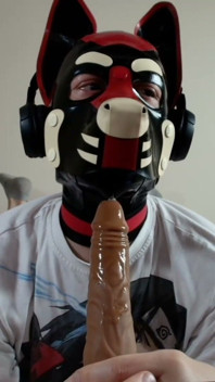 Latex Pet Sucks His Rubber Bone. Watch the Full on My Fancentro