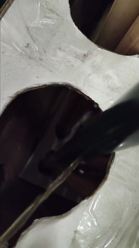 Pissing