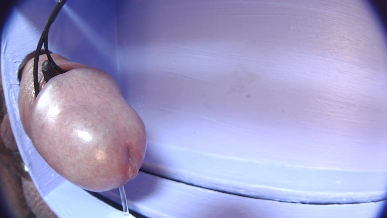 Gaylectrician: E-stim cumshot 21-11-22