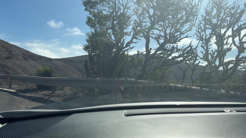 Emma Voyeur: Une Fille Sexy Exhibe Ses Seins Naturels Dans Une Compilation...