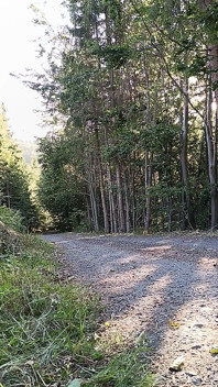 Scooter Rider Outdoor Masturbation