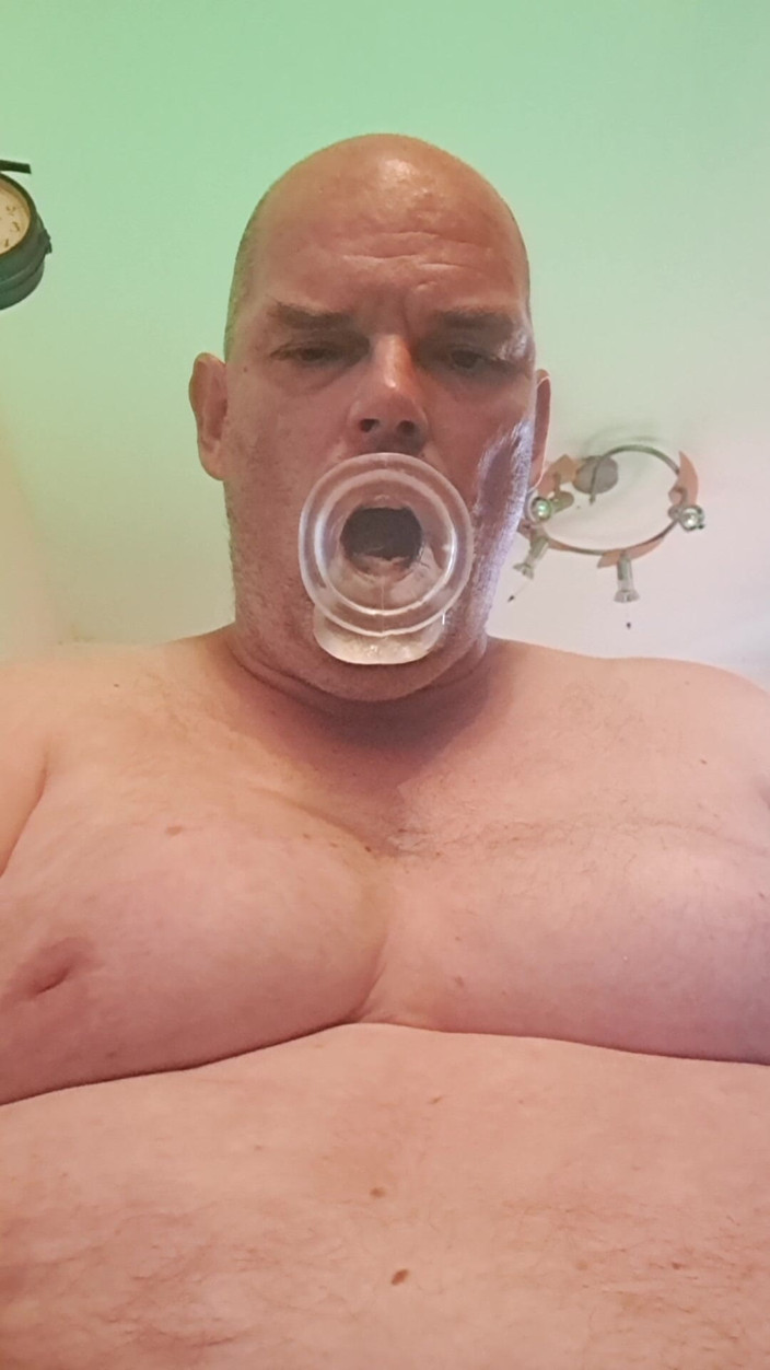 Fickspecht: Sát večer