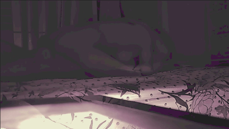 Mr Cute Cock: Anal Stepdaughter Tight Asshole Used Without Permission Painal Part 4