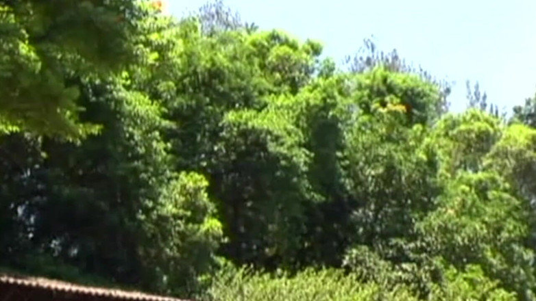 Crunch Boy: Lelaki bertiga kacak