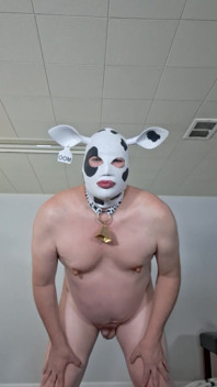 I Need Someone to Milk My Udders