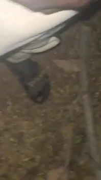 A Hot Big Black Cock Mastubating