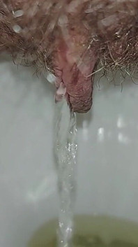 Eu fiz xixi no banheiro