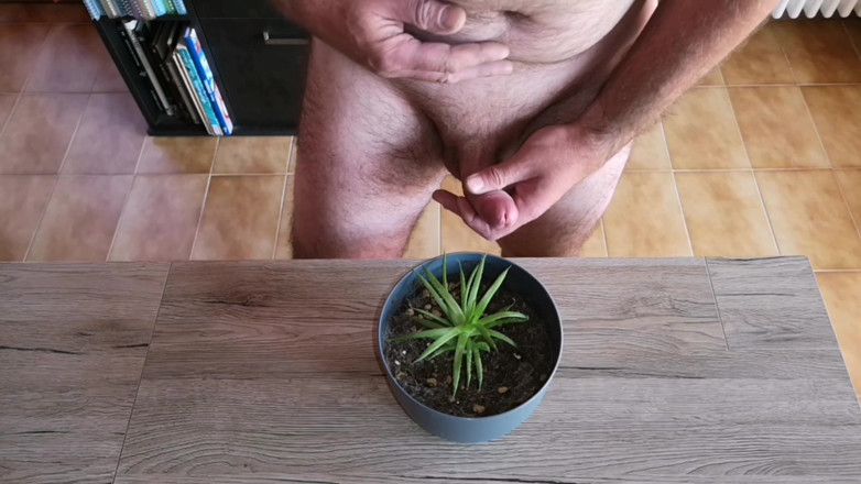 Cicci77: Cicci77 feeds her plants with pee and sperm to make...