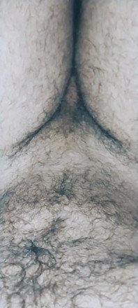 Ali Mousa