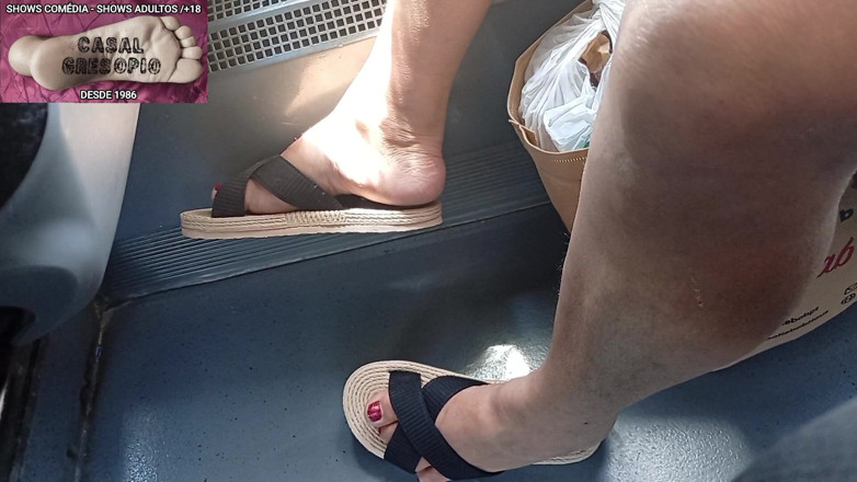 Casal Gresopio Female: การขนส่ง 12