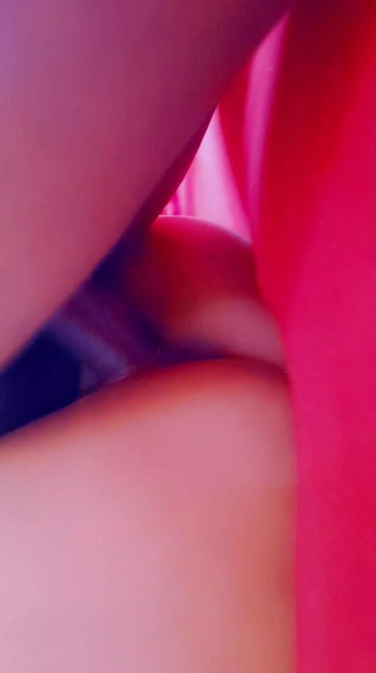 Cakelicious: Scopata a pecorina